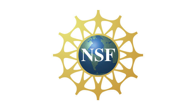 South 8_Website_Logos_NSF